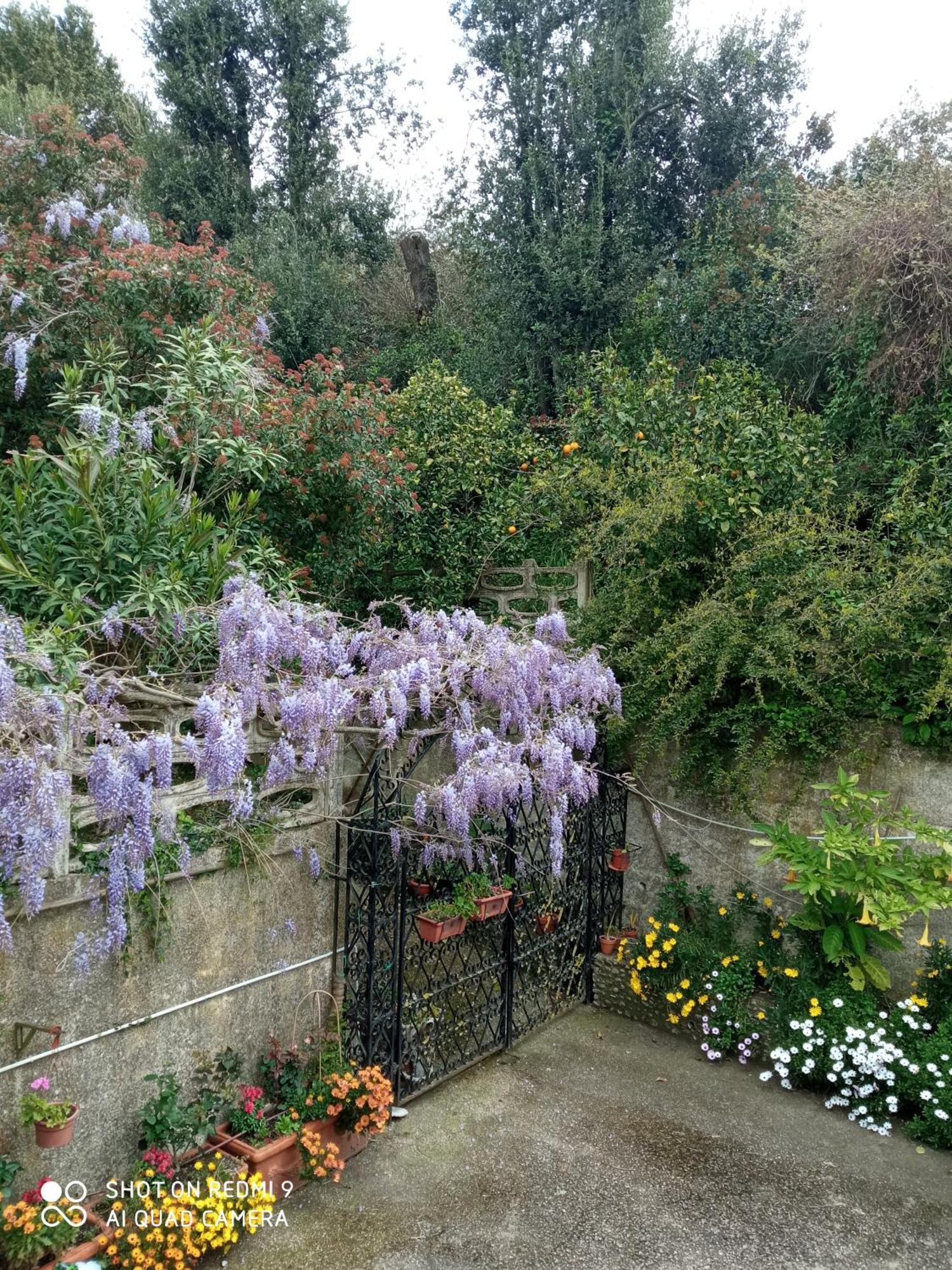 Belvedere Di Caiazzo Luaran gambar