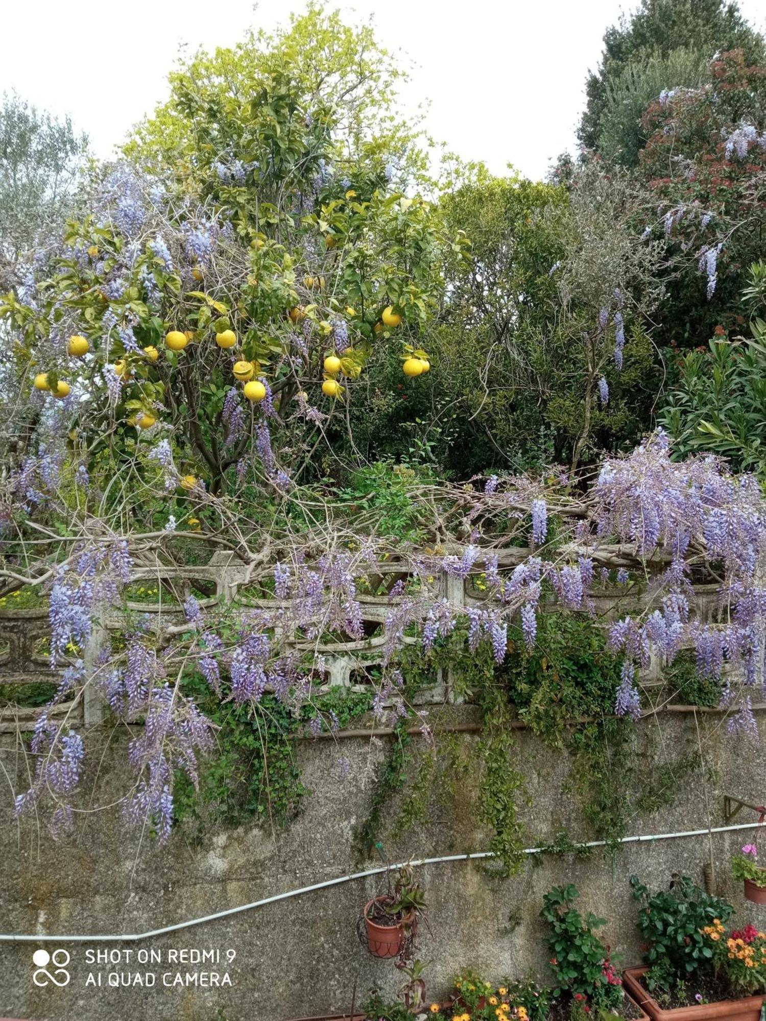 Belvedere Di Caiazzo Luaran gambar